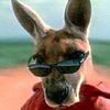 kangaroojack2003