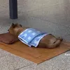alwayssleepingzzz