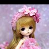 doll3567
