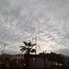 مسعود