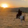 mariwan387