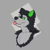 yuko_the_husky_pup