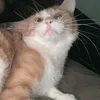 neaffr