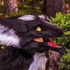 1174raidwolfer