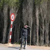 tiktokvtung