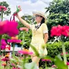 tutrinh_12021994