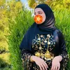 ic_shkenar