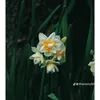 tent_73