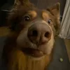 ffiongill8