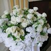 bernadetha746