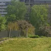 dorel.dorel234