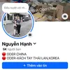 hanhtit90