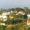 bachlythai