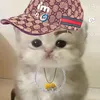jabzi_06