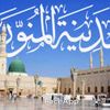 قلبي في المدينه