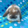 christina_61719