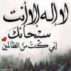 user8521623537211