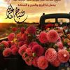 dalal7783