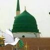 chikhmohammed
