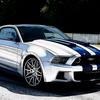 mustangshelby_500