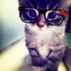 mingming_meow5