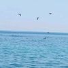 karher03
