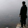 porpor507