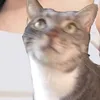 thicmatcha_