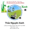 thaonguyenxanh896