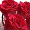 shahadatalee34