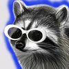 raccoon1balls2jr