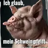 mein_schwein_pfeift