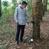 yudilmpura