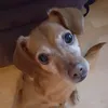susi_47_