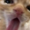 vivian_llllllllll