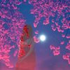 moon.light_tree.star