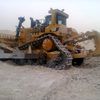 salah55761406