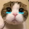 hearphan6