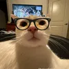 fan_gmmtv.dmd