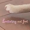 levitatingcatfoot