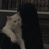 nasayem005