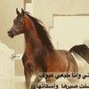 al..mahra_al_asellh