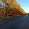 31391130673