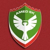 amedsporsk_official