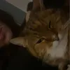 yari_isr