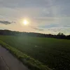 melli_welli_3108