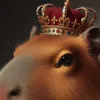 nathan_cachoux