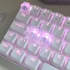 aziaazz