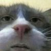 mypunanniphat