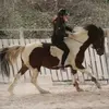 lana.et.ses.chevaux